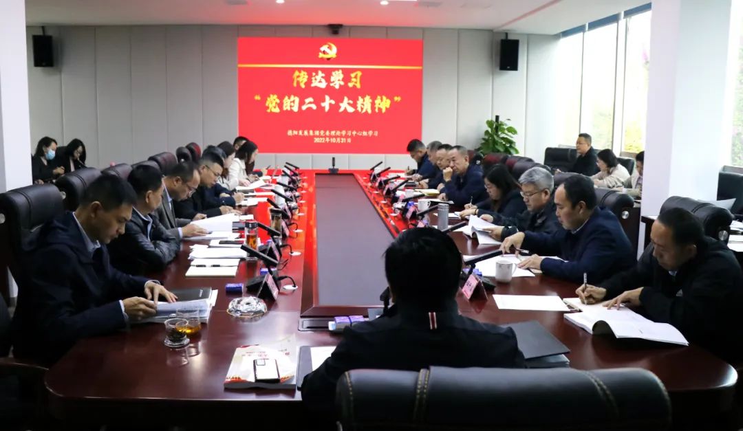 德陽發展集團召開黨委理論學習中心組“黨的二十大精神”專題學習（擴大）會